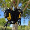 Petzl Sequoia